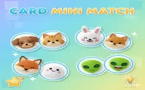 Card Mini Match