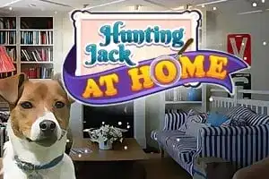 Hunting Jack - At Home