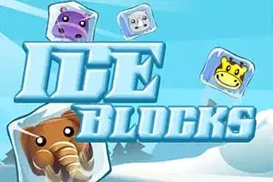 Ice Blocks