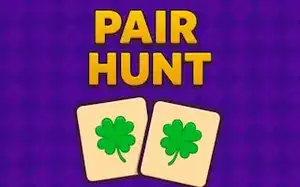 Pair Hunt
