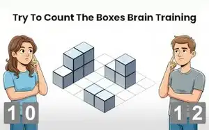 Try To Count The Boxes Brain Training
